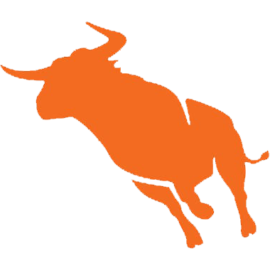 Bullhorn